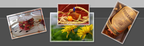 galerie photos