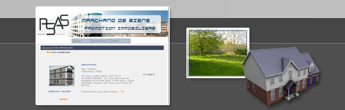 psas immobilier